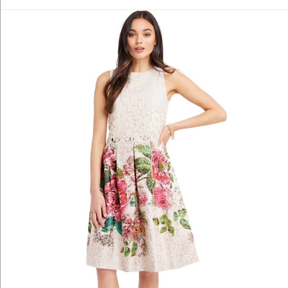 NWT Royal floral  Worcester Dress